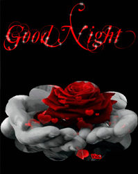 Good Night Friends